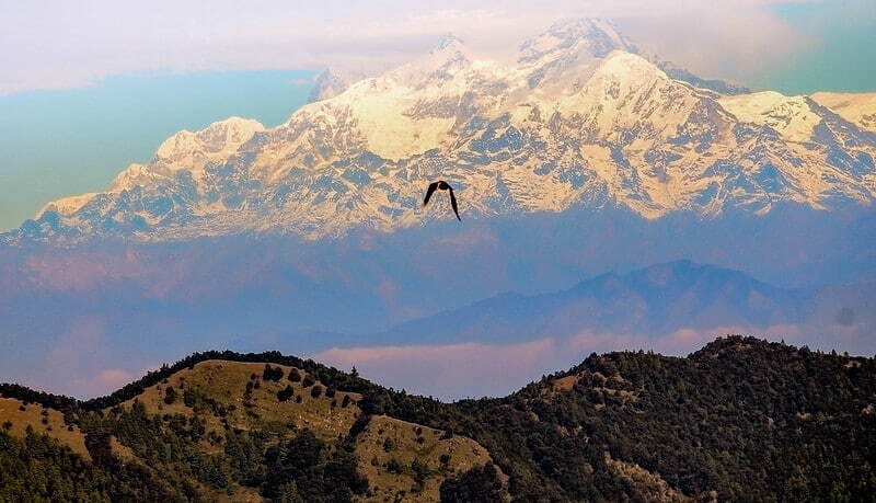 Daman Hill tour