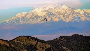 Daman Hill tour